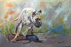 3040 CHIENS 