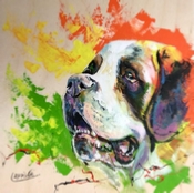 BOIS 1212