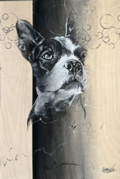 2436 CHIENS 